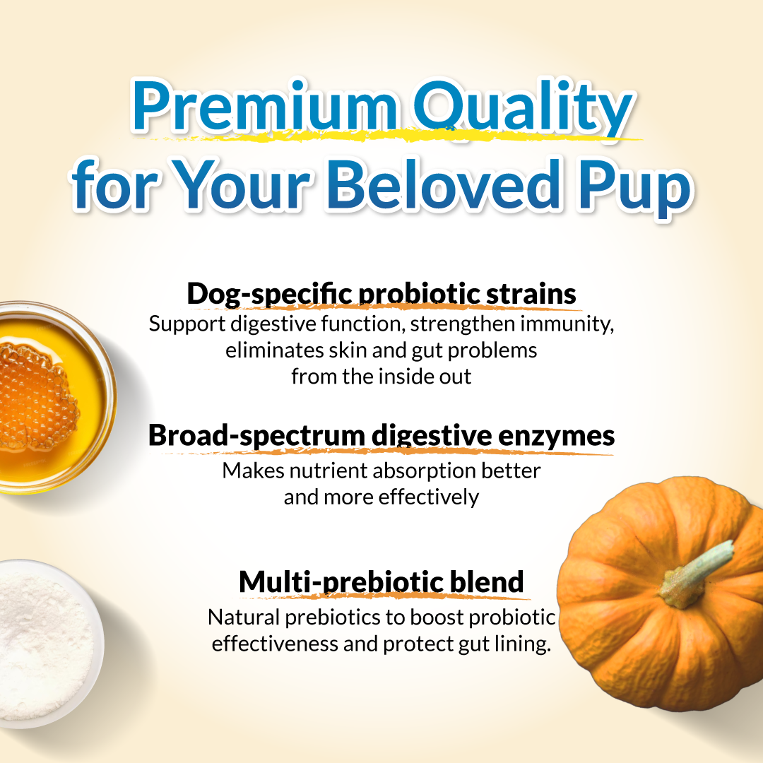 FurryWell Pre & Probiotics ๐ถ