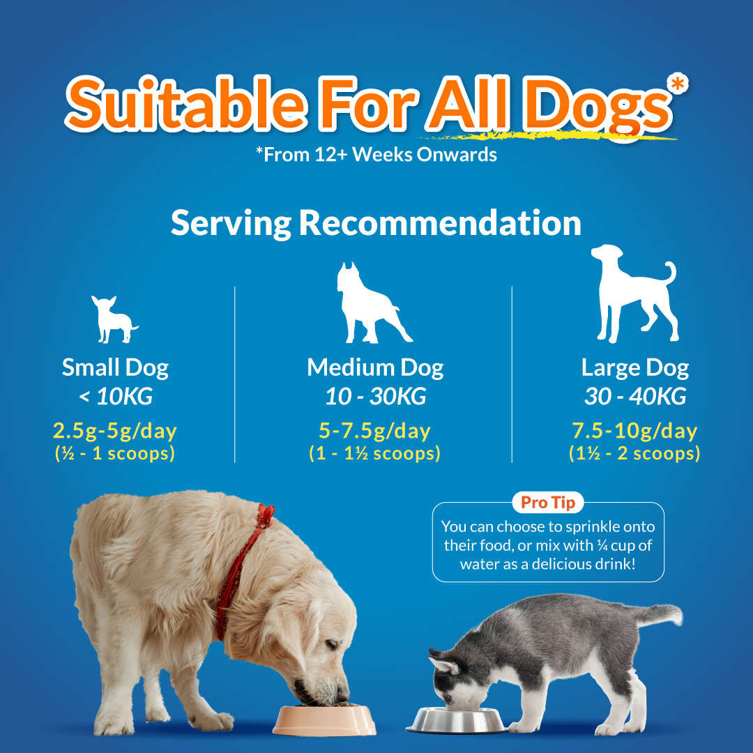 FurryWell Pre & Probiotics ๐ถ