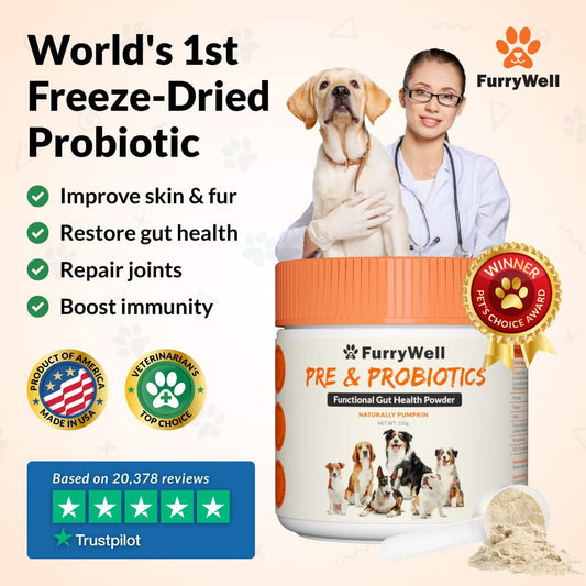 FurryWell | Pre & Probiotics
